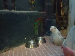 -开心草帽(文化西路店)