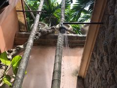 -Let's Relax Spa(Phuket 3rd Street)