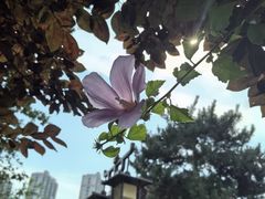 -木塔寺遗址生态公园
