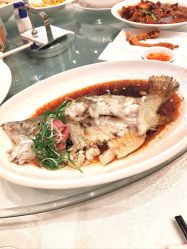 -苏州希尔顿酒店-宴会厅