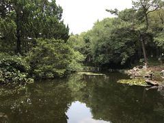 -叶家花园