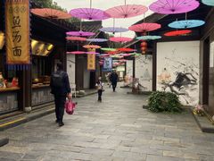 -天目湖山水园