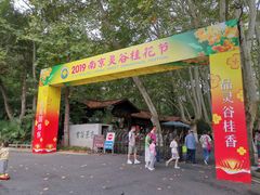 -灵谷景区