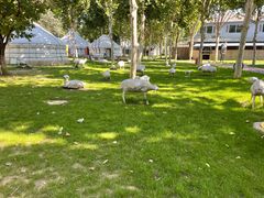 -九十九顶毡房(阜石路店)