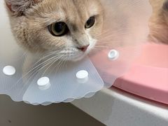 -达爱动物医院·犬猫分区·CT·复杂眼科(远洋山水分院)