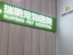-瑞鹏宠物医院·微创内窥镜·骨外科·牙科(翠竹分院)