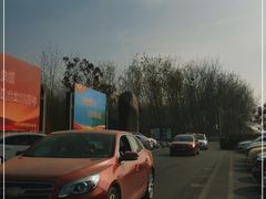 -合肥滨湖国家森林公园