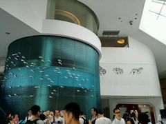 -深圳东部华侨城瀑布酒店