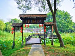 -洪湖生态旅游区