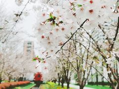 -新天地活力PARK