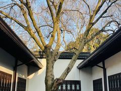 -上海醉白池公园