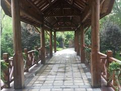 -思念果岭悦温泉