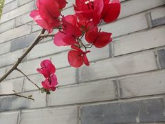 -亦缘居私家别院