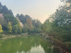 -和顺柏联温泉