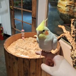 -Zoolung Zoolung动物主题公园(海信广场店)