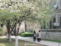 -山东师范大学(千佛山校区)