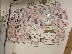 -楼上猫咖(罗湖店)