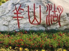 -羊山湖公园