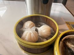 -东方早茶 海鲜•青岛菜(国信体育中心店)