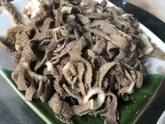 -壹条龙饭庄台基厂店