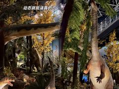 -湖南省地质博物馆