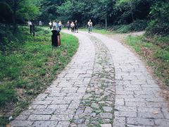 -上海佘山国家森林公园西佘山园