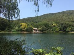 -紫霞湖公园