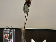 -芳草地西式融合餐厅(回龙窝店)