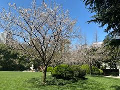 -静安公园(静安寺街道)