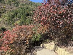 -北京西山国家森林公园