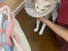 -美联众合动物医院·24h京西诊疗中心