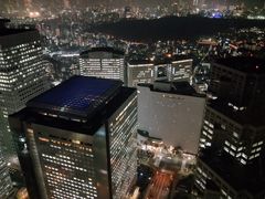 -东京都厅舍