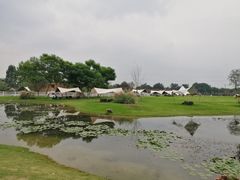 -夏河溪乡野公园