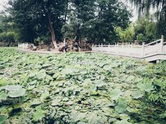-莲湖公园
