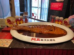 -阿五黄河大鲤鱼(纬三路店)