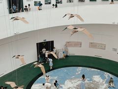 -中国湿地博物馆