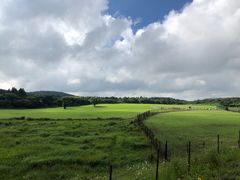 -济州森林小火车生态公园