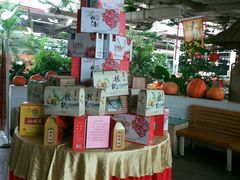 -红栌温泉山庄生态美食餐厅