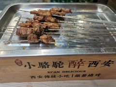 -福苗小骆驼烧烤(莲湖路店)