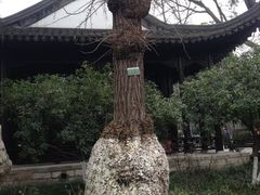 -乌衣巷美食城