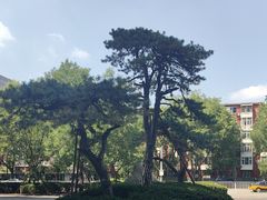 -启皓中心