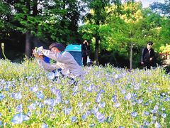 -上海滨江森林公园