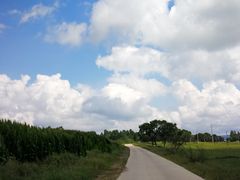 -御道口草原森林风景区-游客咨询处