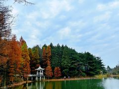 -四明山国家森林公园