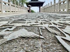 -东湖落雁景区