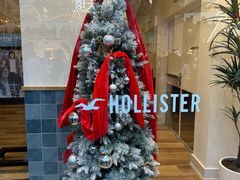 -Hollister(天环广场店)