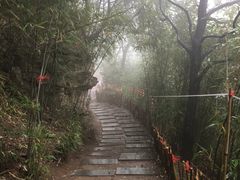 -少华山国家森林公园