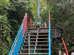 -七仙岭温泉国家森林公园