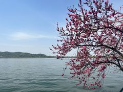 -西湖天地