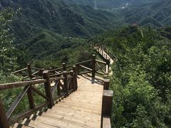 -大岭沟猕猴桃谷风景区